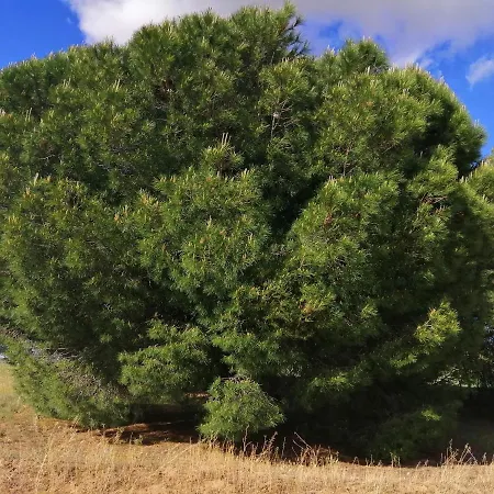Prázdninový dům Casa Trabancos Siete Iglesias de Trabancos