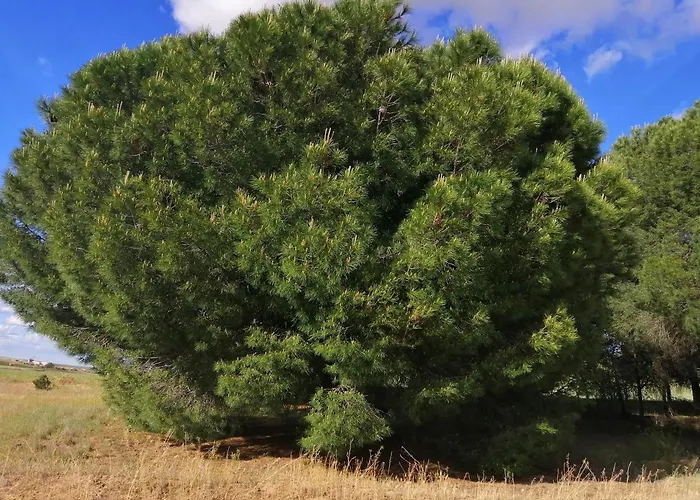 Prázdninový dům Casa Trabancos Siete Iglesias de Trabancos
